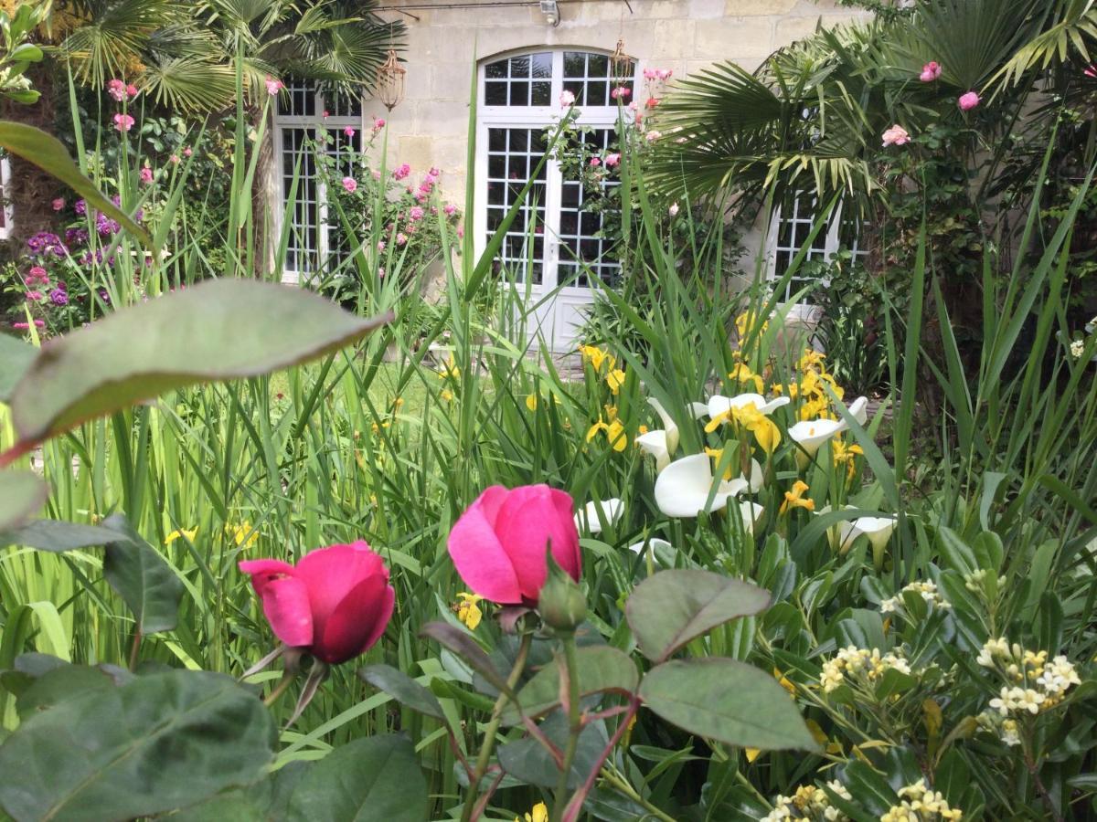 L'Orangerie Du General Bed & Breakfast Saint-Jean-dʼAngély Dış mekan fotoğraf