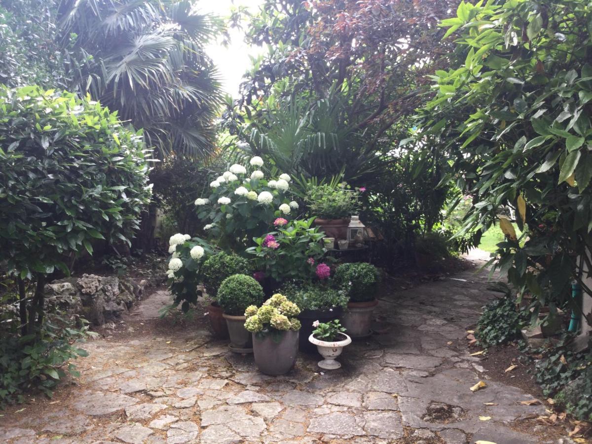 L'Orangerie Du General Bed & Breakfast Saint-Jean-dʼAngély Dış mekan fotoğraf
